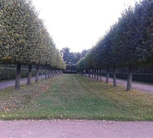 Parkanlage Peterhof