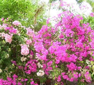 Am Eingang des Parks