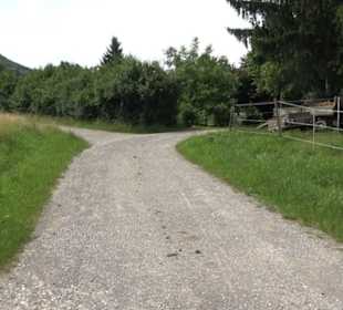 Premiumspazierweg Früchtetrauf-Leisawegle