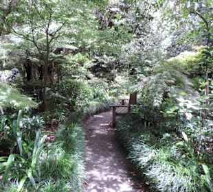 Eden Garden ein Paradies mitten in der Stadt