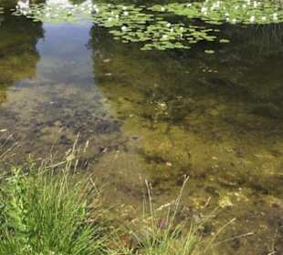 Botanischer Garten der Universität Zürich