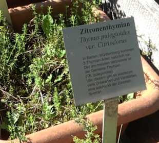 Klosterkirche Maria Gnadenzell