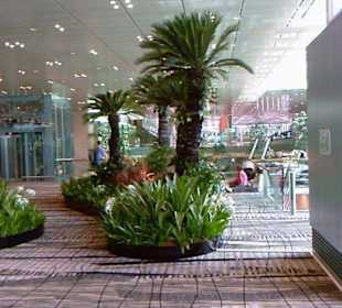 Flughafen von Singapur