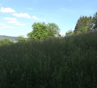 Kreuzweg zum Tannenrain