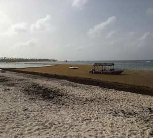 Strand Bavaro Beach Punta Cana 13.06.18