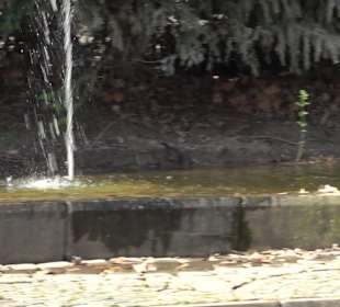 Unterer Schlossgarten Stuttgart