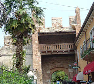 Tor
