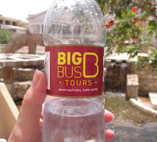 Big Bus Tour sehr zu empfehlen