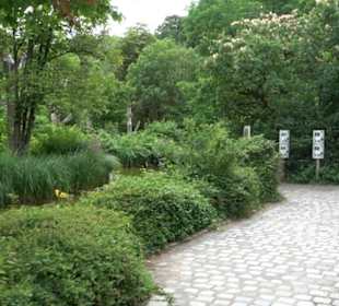 Tierpark Hellabrunn - Reich der Elefanten