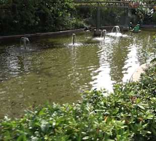 Erlebnispark Tripsdrill