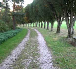 Klosterpark Altheim