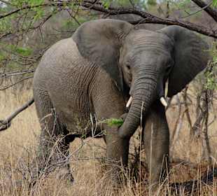 Was wollt ihr von mir