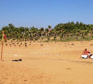 Am Strand entlang Kumköy-Evrenseki-Colakli