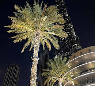 Stadtrundfahrt Dubai
