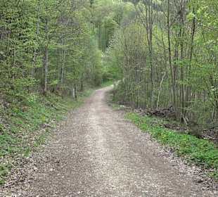 Wandergebiet Liebfrauental