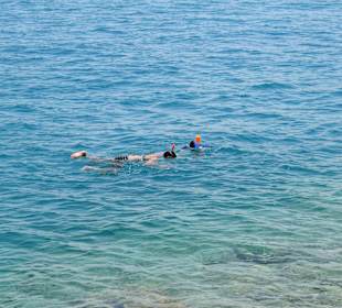 Schnorcheln Hausriff Beach Albatros Palace Resort Hurghada