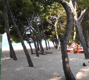Strandspaziergang