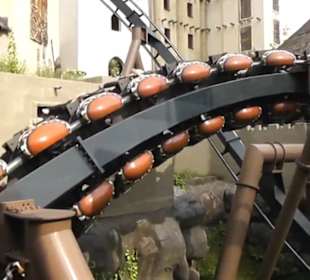 Deep in Africa - Black Mamba