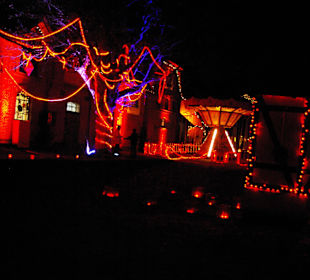 Alles im grellen Licht