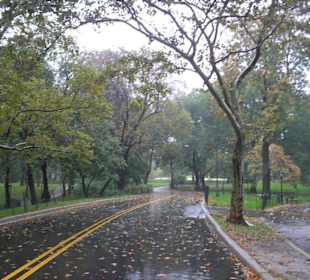 Straßen des Central Parks