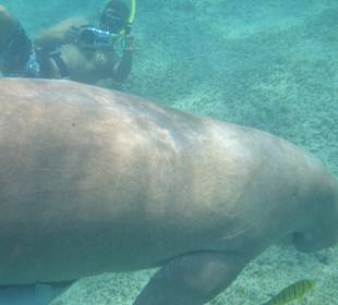 Bei einem Ausflug photographiert