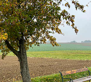 Wandern Bad Tatzmannsdorf