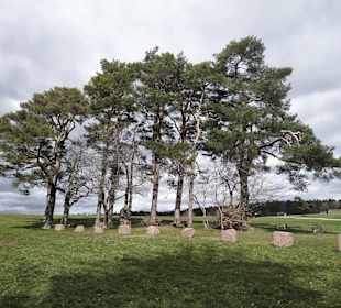 Heinrich Schäff-Zerweck Platz Hallwangen