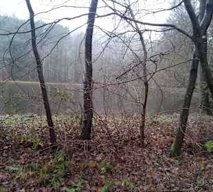 Seehofweiher in Bruchweiler-Bärenbach