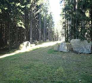 Naturpark Blockheide