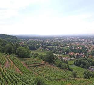 Wein und Aussicht