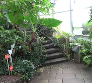 Tropicarium