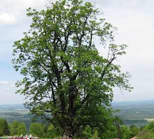 Hofkapellenwanderung