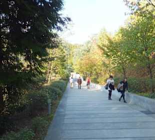 Przejście łączące ulicę z muzeum