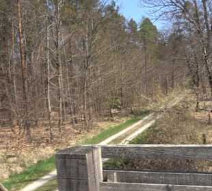 Waldkulturerbe Neuweiler Viehweide