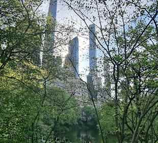 Central Park