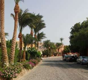 Ausflug El Gouna mit Alex Andra