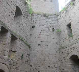 Burgruine Hoh-Andlau