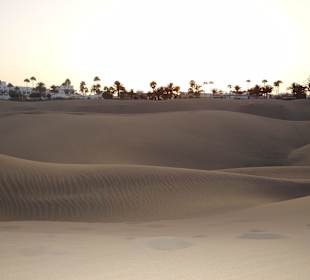 Dünen von Maspalomas