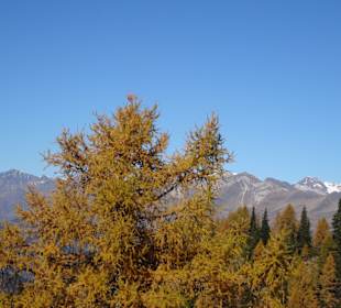 Almenwanderung Hirzer