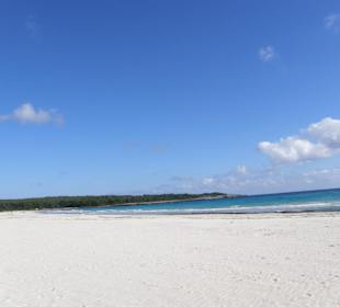 Strand von Sa Coma