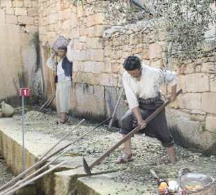 Museum Limestone Heritage