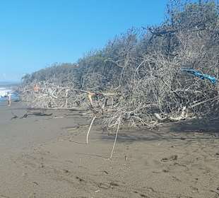 Naturbelassene Strände 