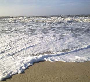 Flutsaum am Sahlenburger Strand