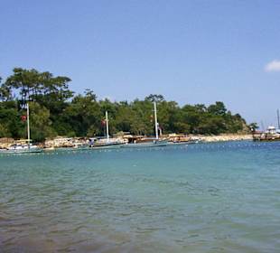 Moonlight Beach