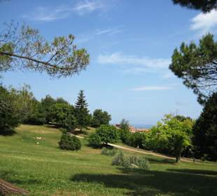 Park in der Nähe der alten Festung
