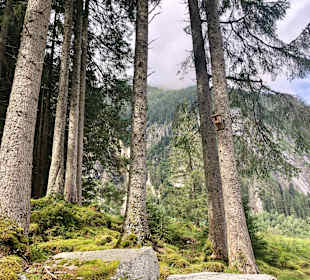 Wandern Neukirchen am Großvenediger 
