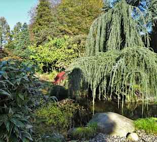 Rundgang durch den Botanischen Garten Hamburg