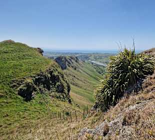 Te Mata