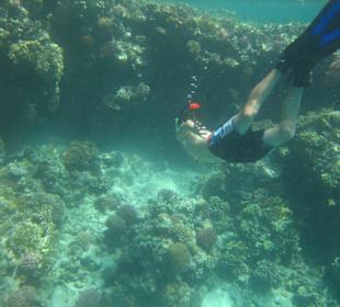 Schnorcheln Hausriff Hotel Pensee Azur