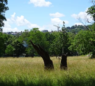 Rosensteinpark